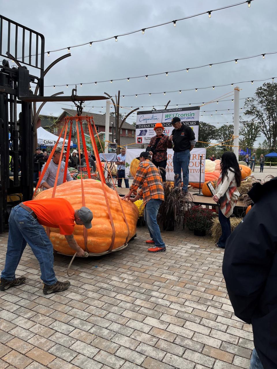 Tom Montsma's pumpkin is lifted up during the weighing on Sept. 24, 2022, at the River Prairie Ginormous Pumpkin Festival in Altoona, Wis.