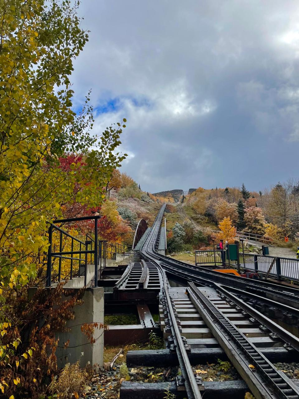 View of train tracks backdropped by fall foliage