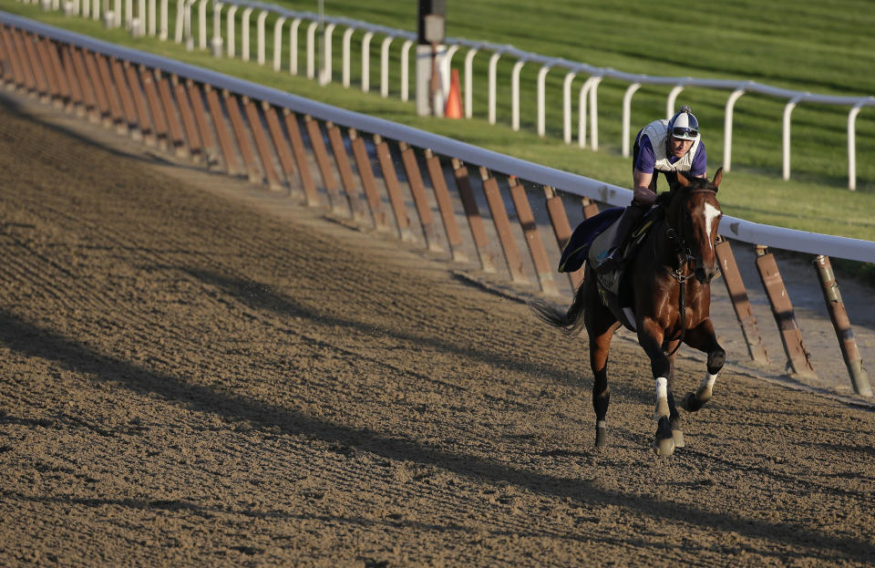 One of the horses killed in the crash was the daughter of Belmont Stakes winner Tonalist. (AP Photo/Julie Jacobson)