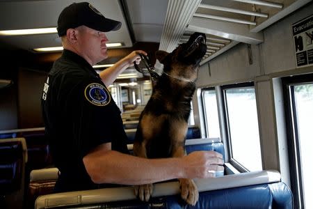 Metropolitan Transit Authority (MTA) Police Officer Kevin Pimpinelli works with his K-9 partner Johnny, a German Shepherd, during a simulated bomb search aboard a dedicated Metro-North Railroad commuter train car permanently installed for training at the new MTA Police Department Canine Training Center in Stormville, New York, U.S. on June 6, 2016. REUTERS/Mike Segar/File Photo