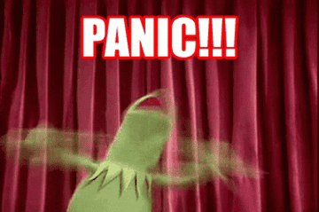 Kermit the Frog flails around with the text "panic" in bold