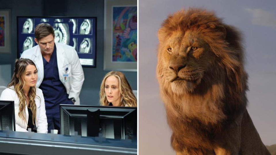 Greys Anatomy Lion King