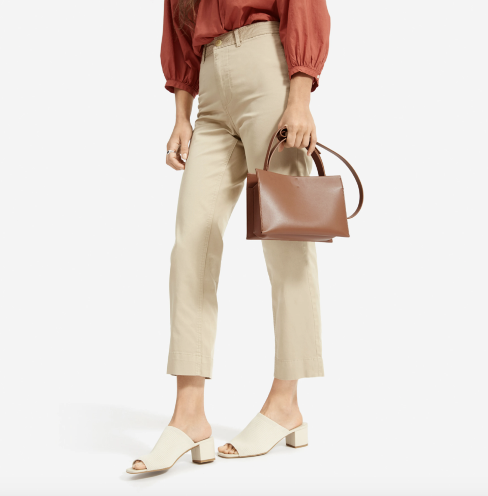 Everlane Lunchbox Bag in Cognac