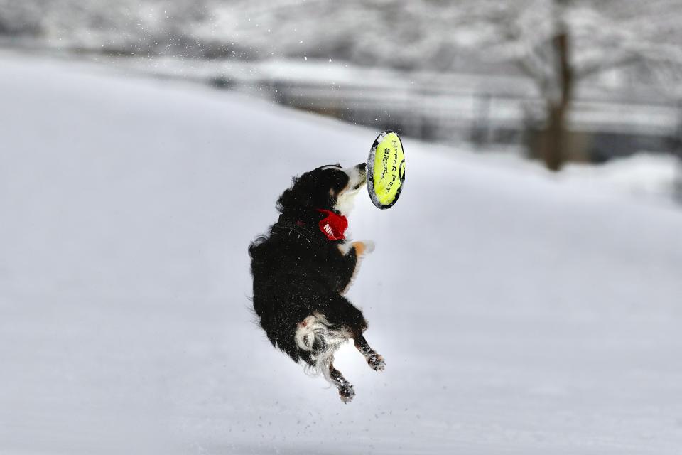 Michelle Pemberton/IndyStar