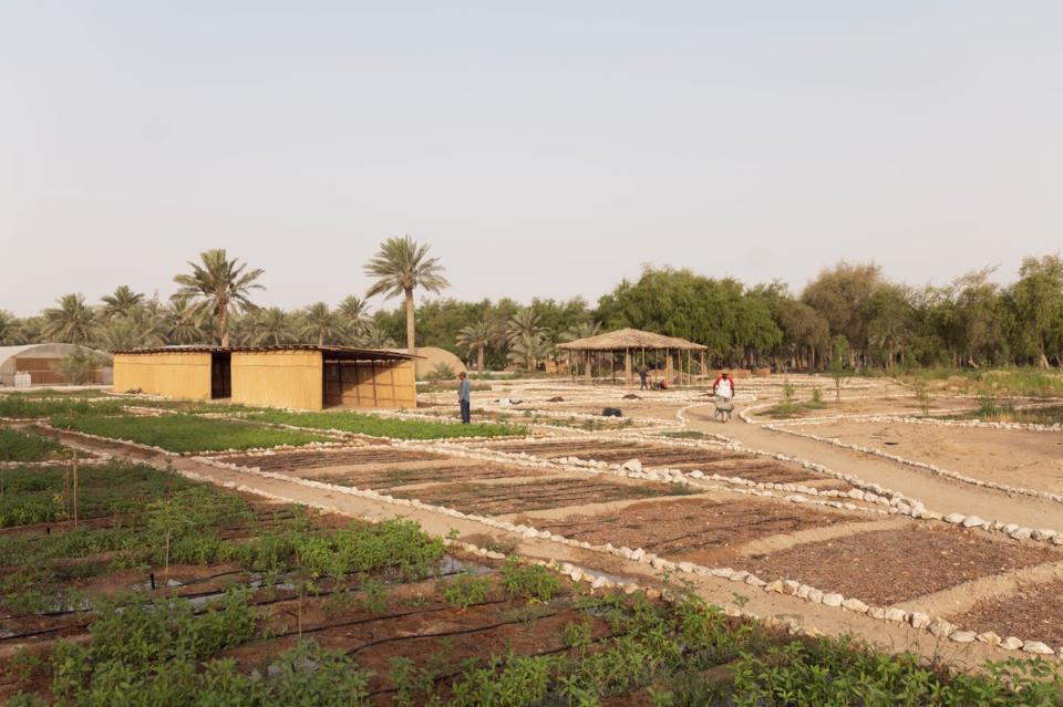 The farm team, through Caravane Earth Foundation, is addressing the global need for ethical approaches to local agricultural initiatives (Paddy Dowling)