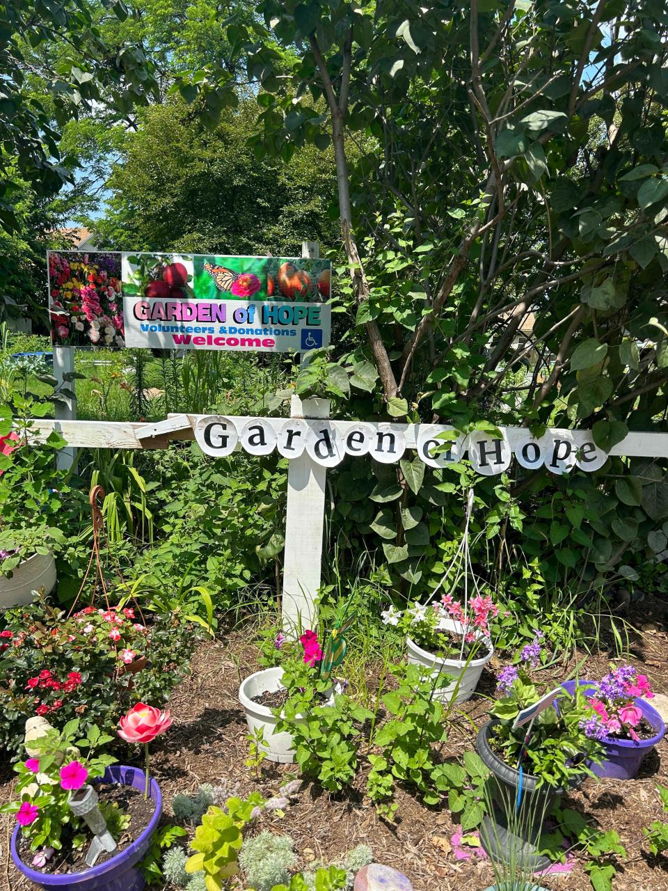 Signs outside of Inez Burns garden in Rochester, N.Y. on Jul. 31, 2021.