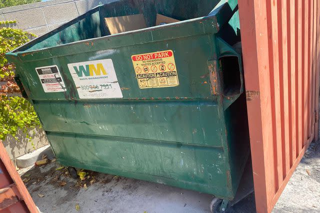 <p>Carolyn Castro</p> The dumpster in California where the three puppies were found by a business park employee.