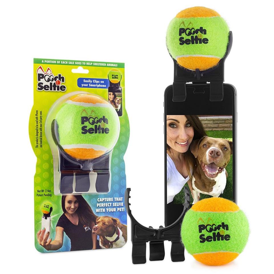 The Original Dog Selfie Stick