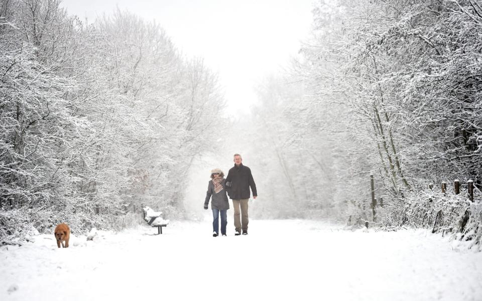 People walk their dog around Apedale Community Country Park as parts of England endure sub-zero temperatures in Newcastle-under-Lyme - Nathan Stirk/Getty Images