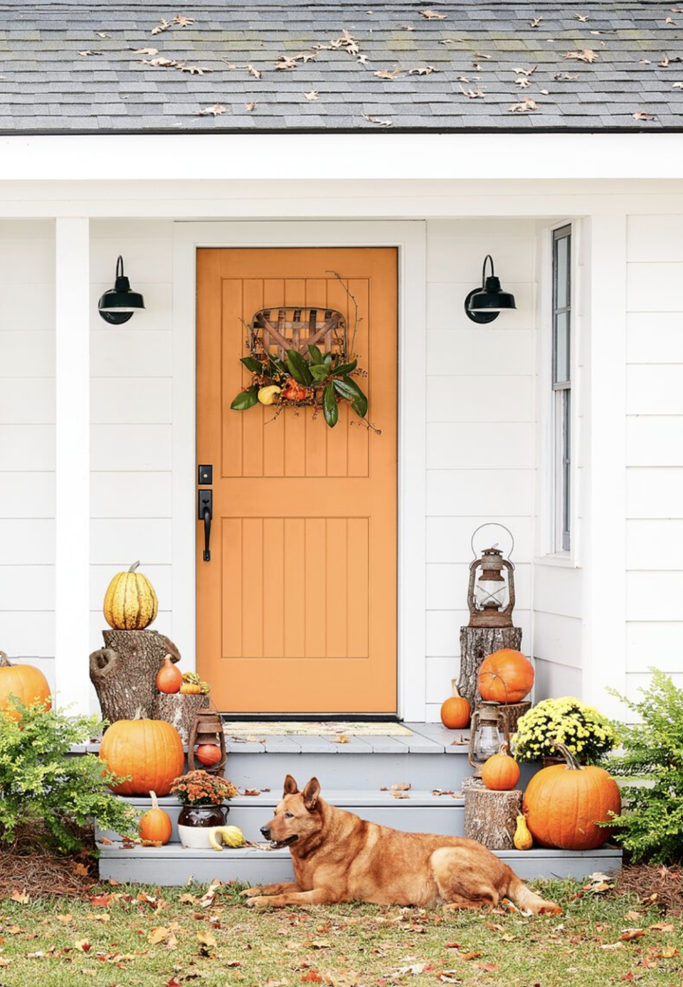 fall porch with orange door and dog in the yard