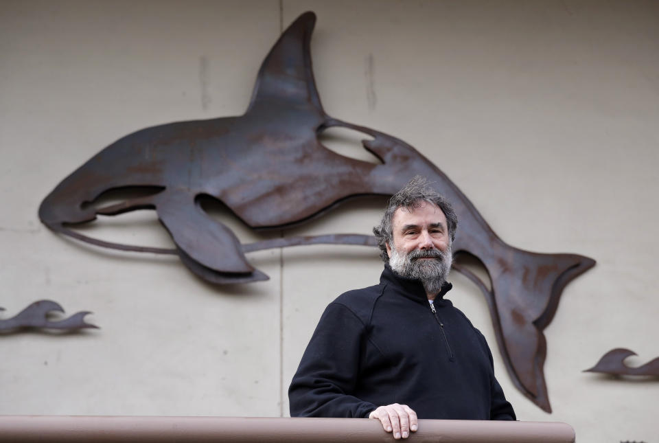 Salmon researcher Greg Ruggerone, one of a group of scientists who noticed a startling trend about the deaths of endangered southern resident orca whales, stands in front of an orca sculpture near his office Friday, Jan. 18, 2019, in Seattle. For years, scientists have identified dams, pollution and vessel noise as causes of the troubling decline of the Pacific Northwest's resident killer whales. Now, they may have found a new and more surprising culprit: pink salmon. The researchers were perusing data on the website of the Center for Whale Research, when they noticed that for the past two decades, significantly more of the whales have died in even-numbered years than in odd years, corresponding to a pattern related to pink salmon, which return to the waters between Washington state and Canada in enormous numbers every other year. (AP Photo/Elaine Thompson)