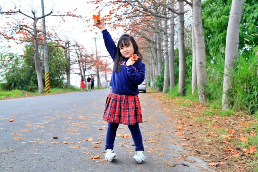 彰化｜埤頭東螺溪木棉花道