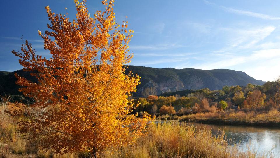 best places to see fall foliage new mexico