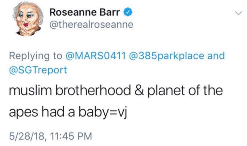 美國女星蘿珊巴爾（Roseanne Barr）的種族歧視推文（取自網路）