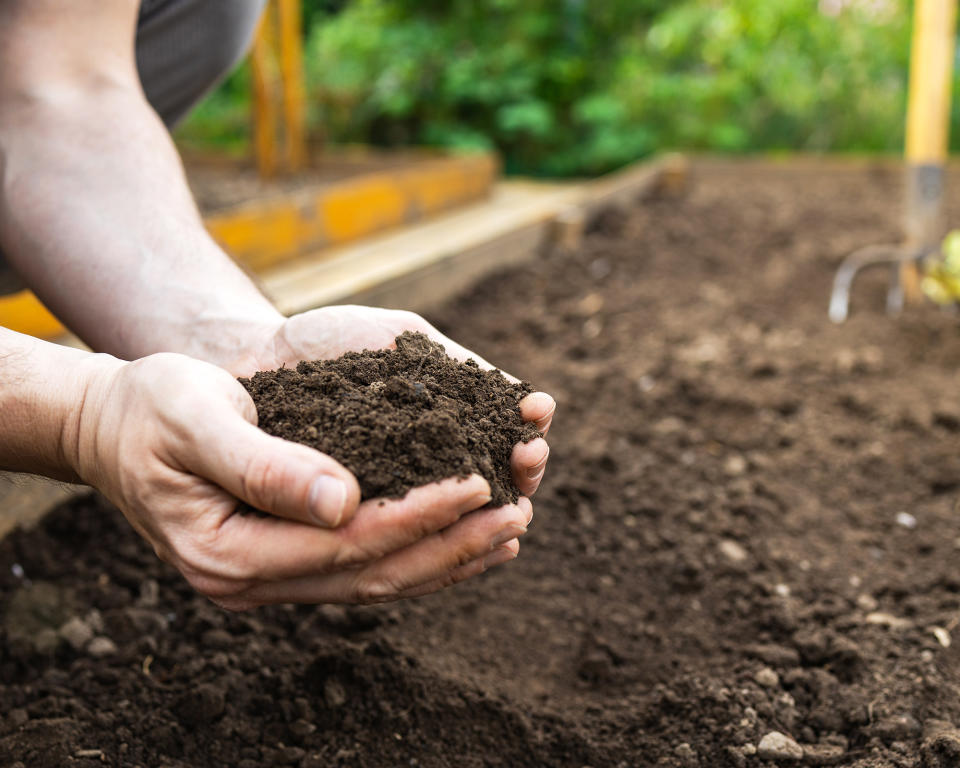 Man holds soil in hands