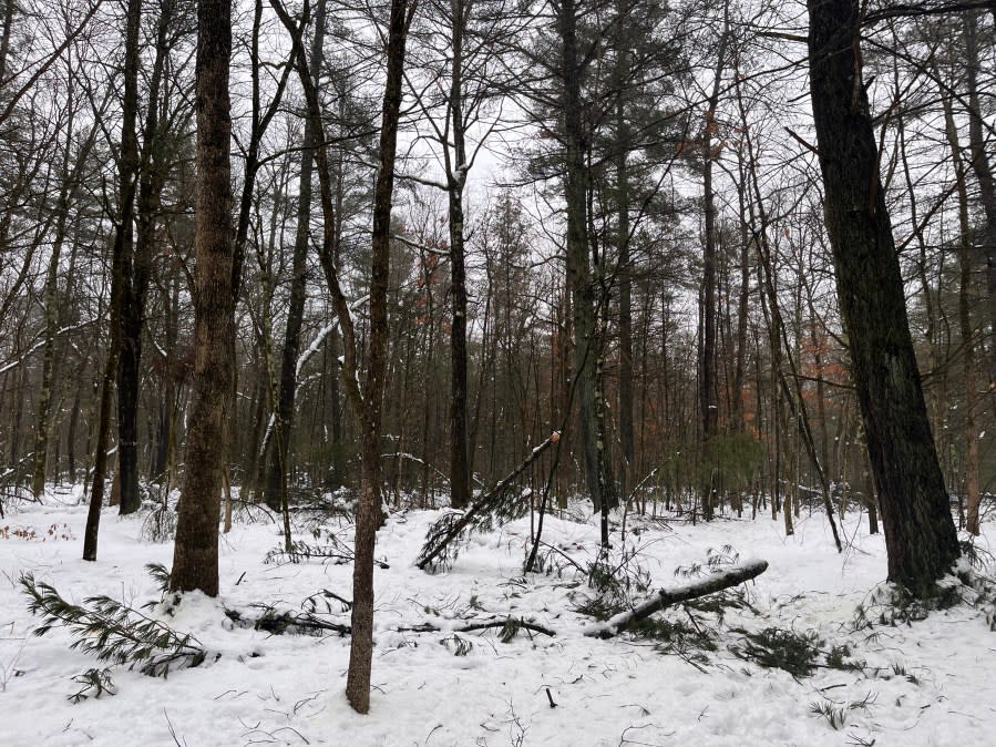 Peter and Annica Quakenbush are working to create a green conservation cemetery. (Jan. 25, 2024)