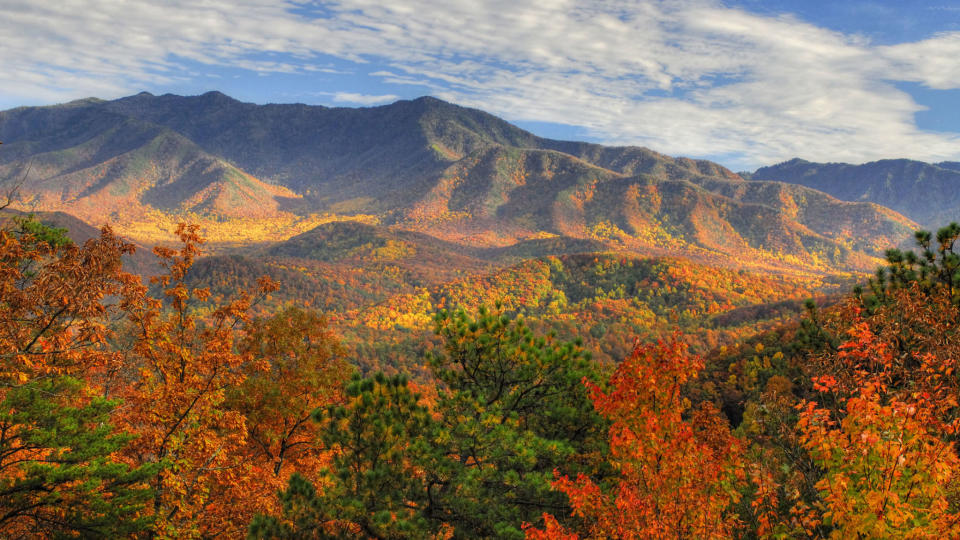 Great Smoky Mountains National Park | Tennessee