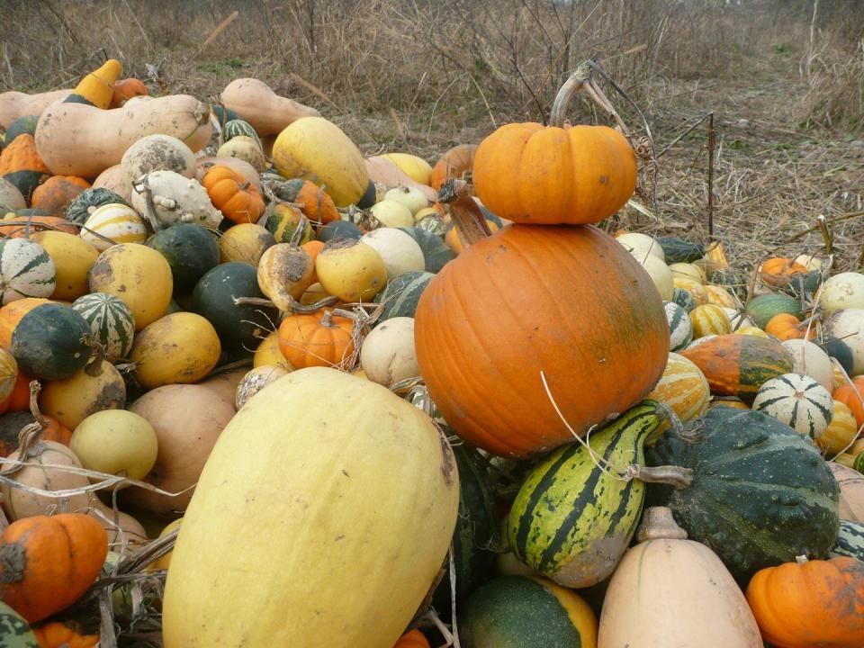 9) George Hill Orchards in Lancaster, MA