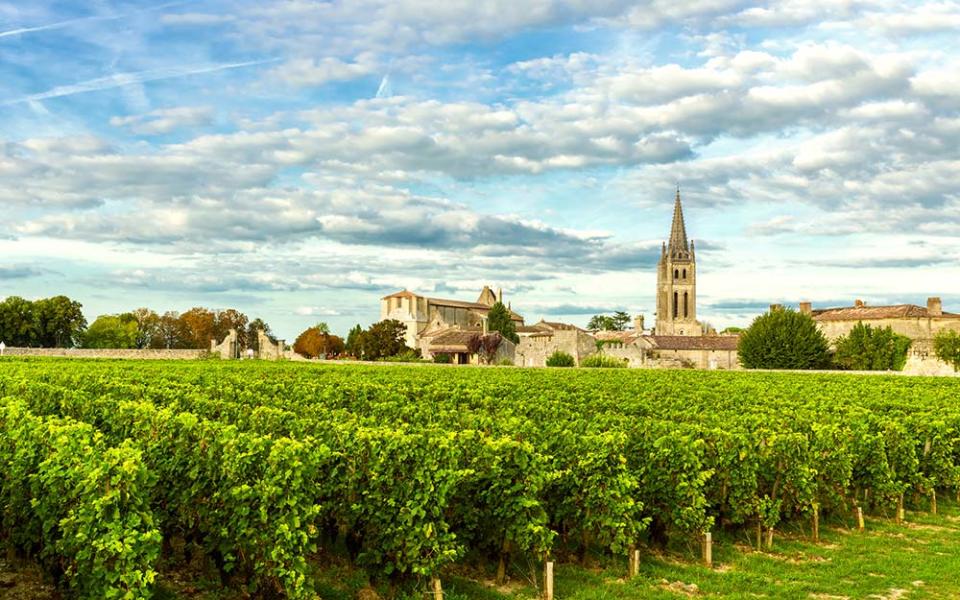 "Landscape around us, from apple orchards morphing into fields of nodding sunflowers and drying corn, to the tidy rows of vineyards around Bordeaux" - istock