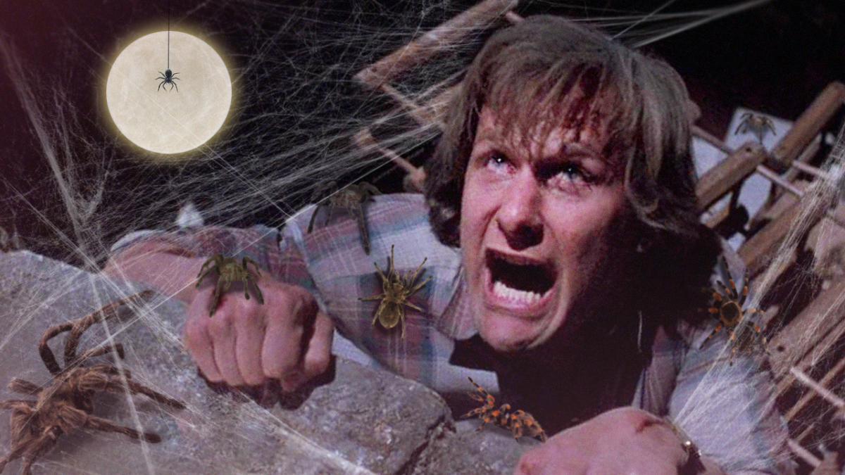 Christopher Landon Teases His Arachnophobia Remake With James Wan 8066