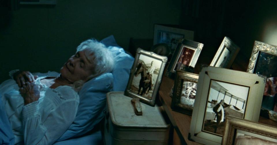 Rose sleeps beside framed photos of her life adventures