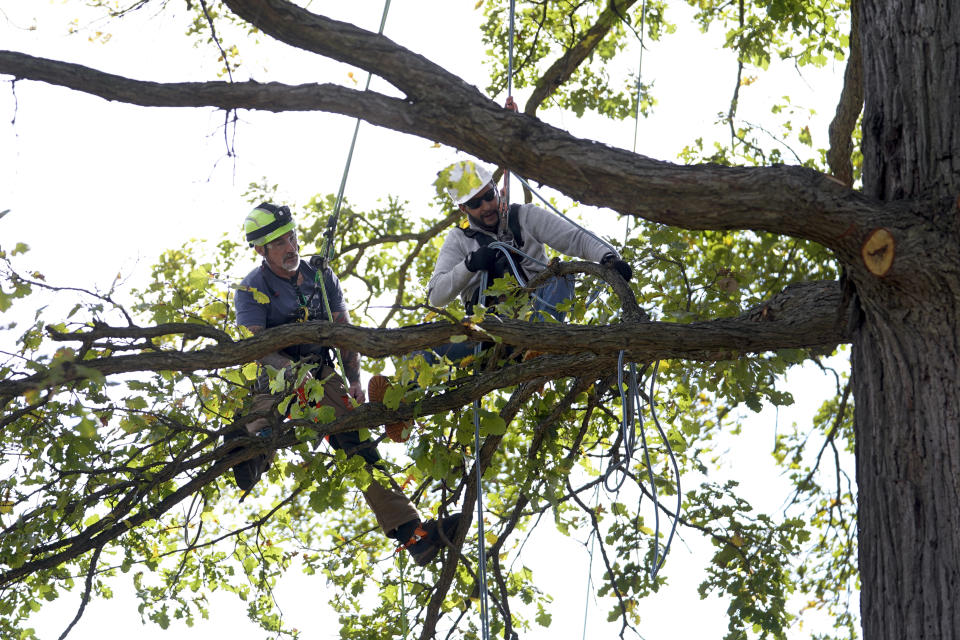 Journeyman trimmer and instructor Jeffrey Gunnells, left, gives direction to Dennis Galloway at the DTE Energy Tree Trim Academy in Detroit, Thursday, Oct. 13, 2022. DTE Energy partnered with IBEW Local 17, the city of Detroit and nonprofits to recruit residents from the city and surrounding communities to enroll in its Tree Trim Academy to train local residents on line clearing. (AP Photo/Paul Sancya)