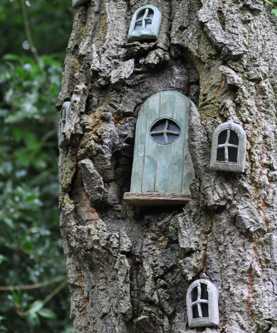 2. Bring trees alive with fairy windows