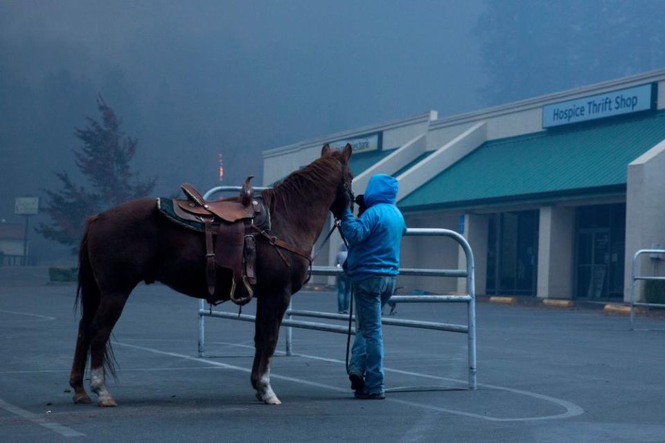 Hillery Johnson stands with her horse Augie, after she lost everything except the clothes on her back and her horse, watches as the Camp Fire burns out of control through Paradise, Calif. on Nov. 8.