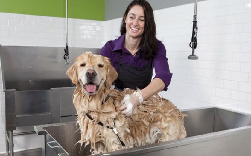 Pets at Home said it is trading in line with lowered expectations, in its first financial update since the competitions watchdog said it would launch a probe into the veterinary industry. 