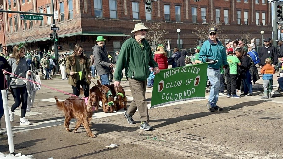 Coloradans grabbed their green and gathered in the Five Points neighborhood of Denver for the 62nd annual St. Patrick's Day parade on March 16, 2024.