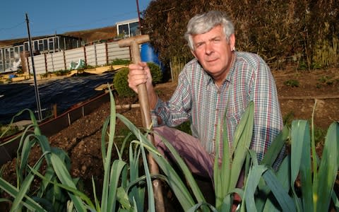 Terry Walton