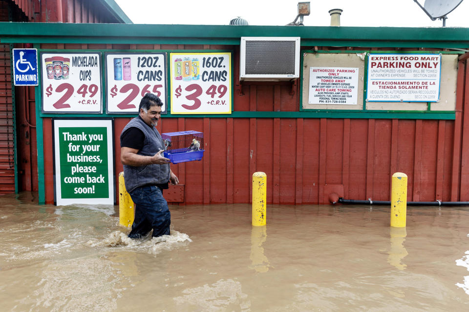 A local resident walks through a flooded area as he rescues his birds in Pajaro, California, on March 14, 2023. 