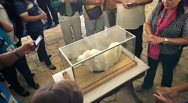 A 34-kilogram pearl from a giant clam left hidden under a bed for 10 years could prove to be the biggest in the world. Source: Facebook/Aileen Cynthia Maggay-Amurao.