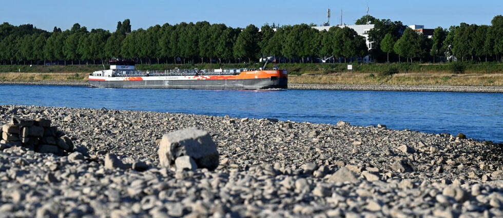 À Cologne, le niveau du Rhin est parfois de seulement 1,03 m.  - Credit:ROBERTO PFEIL / DPA / dpa Picture-Alliance via AFP