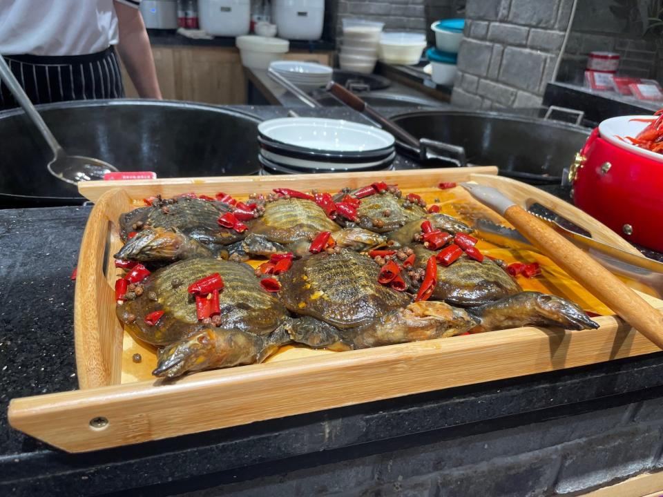Steamed Turtles with chilli oil at a restaurant in Beijing