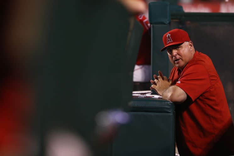 It would be a shock if the Angels parted ways with Mike Scioscia. (Getty Images/Sean M. Haffey)