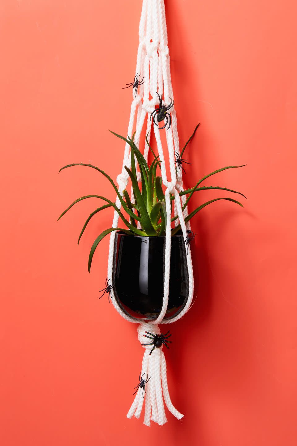 Spider Web Plant Hanger