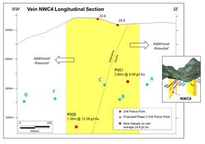 Vein NWC4 Longitudinal Section.