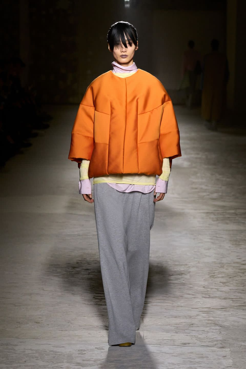 dries van noten