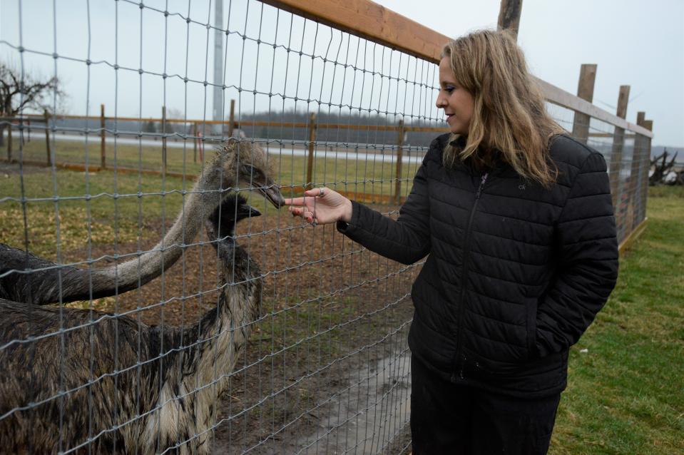 Shannon McCarrell with some of her birds, Duncan the ostrich and Wallace the emu, at the family farm in Haldimand County. The McCarrells recently found a new home for their large birds after intruders broke into their bird enclosure in March and killed a two-year-old emu named McTavish. -J.P. Antonacci/The Hamilton Spectator