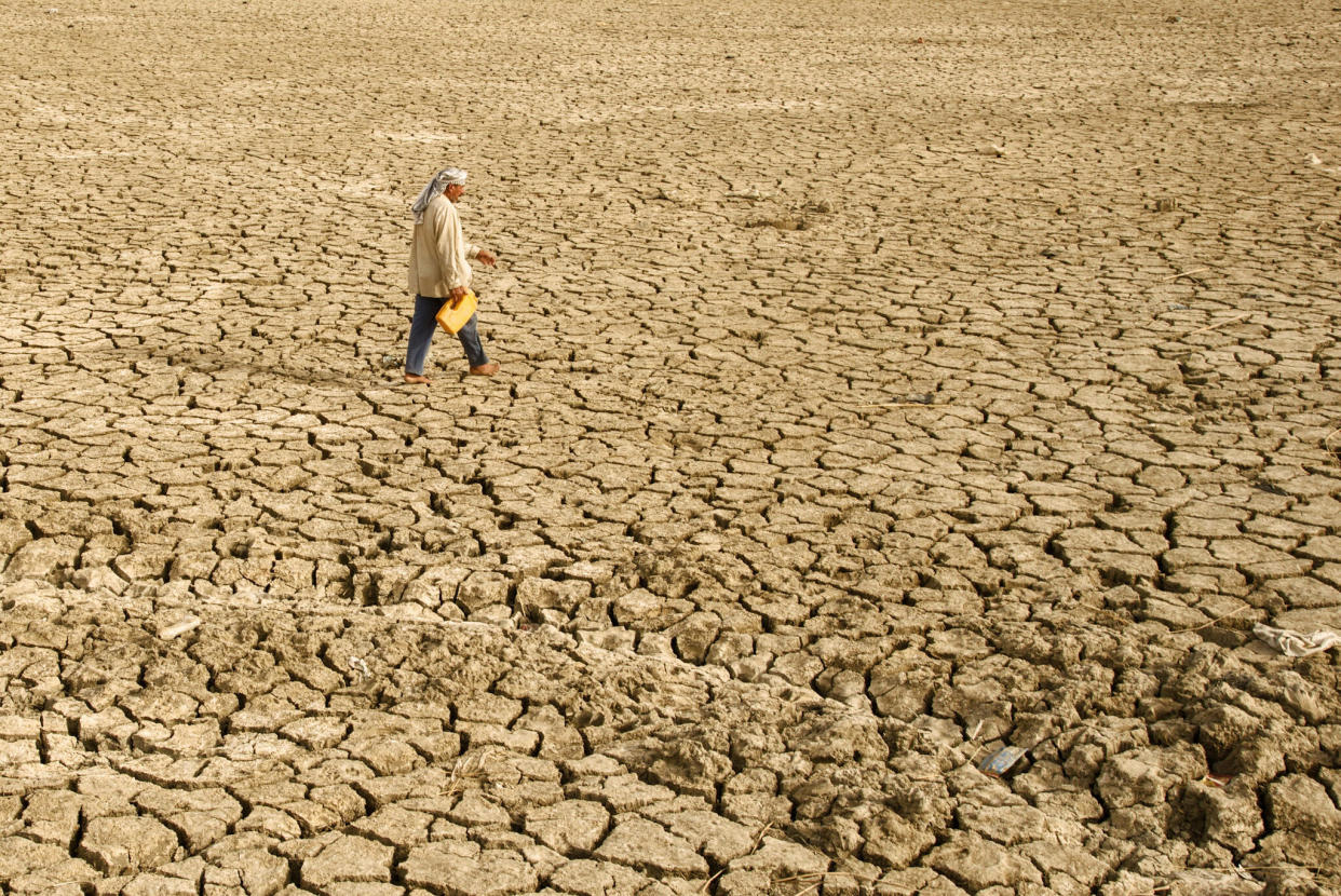 A parched landscape in Iraq. Abbas Raad / World Meteorological Organization via Flickr