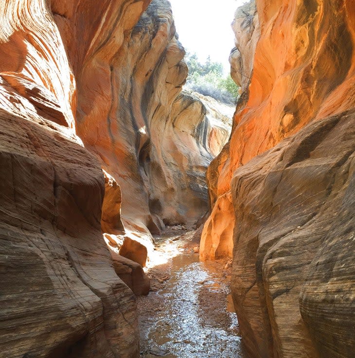 Willis Creek Slot Canyon in Grand Staircase-Escalante National Monument