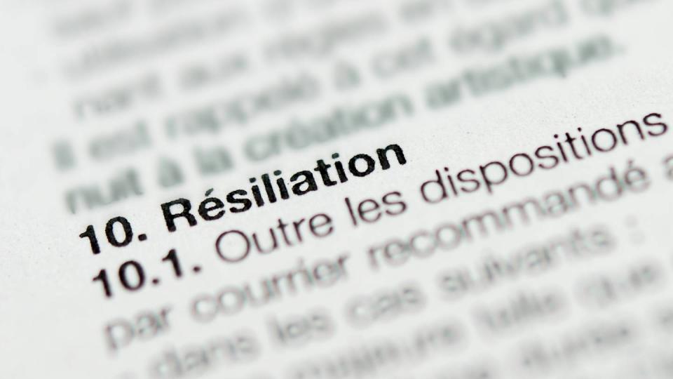 Assurance, mutuelle, prévoyance : un bouton « résiliation » pour changer de contrat au 1er juin - © Marc Rigaud - stock.adobe.com