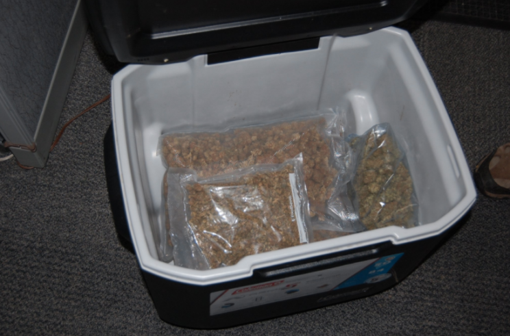 A cooler full of weed that was donated to the Goodwill. Photo from Twitter/MonroePolice 