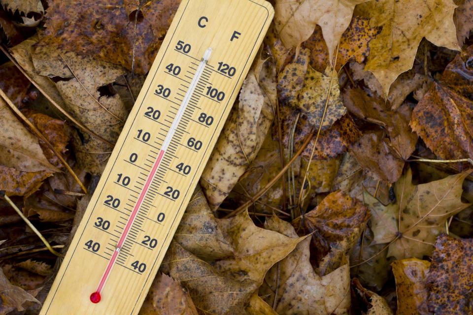 Der Temperaturwechsel von Sommer auf Herbst macht vielen zu schaffen. (Bild: Marccophoto/Getty Images)