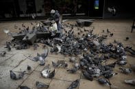 A woman feeds mostly pigeons just off Oxford Street in London, Friday, Jan. 15, 2021, during England's third national lockdown since the coronavirus outbreak began. The U.K. is under an indefinite national lockdown to curb the spread of the new variant, with nonessential shops, gyms and hairdressers closed, most people working from home and schools largely offering remote learning. (AP Photo/Matt Dunham)