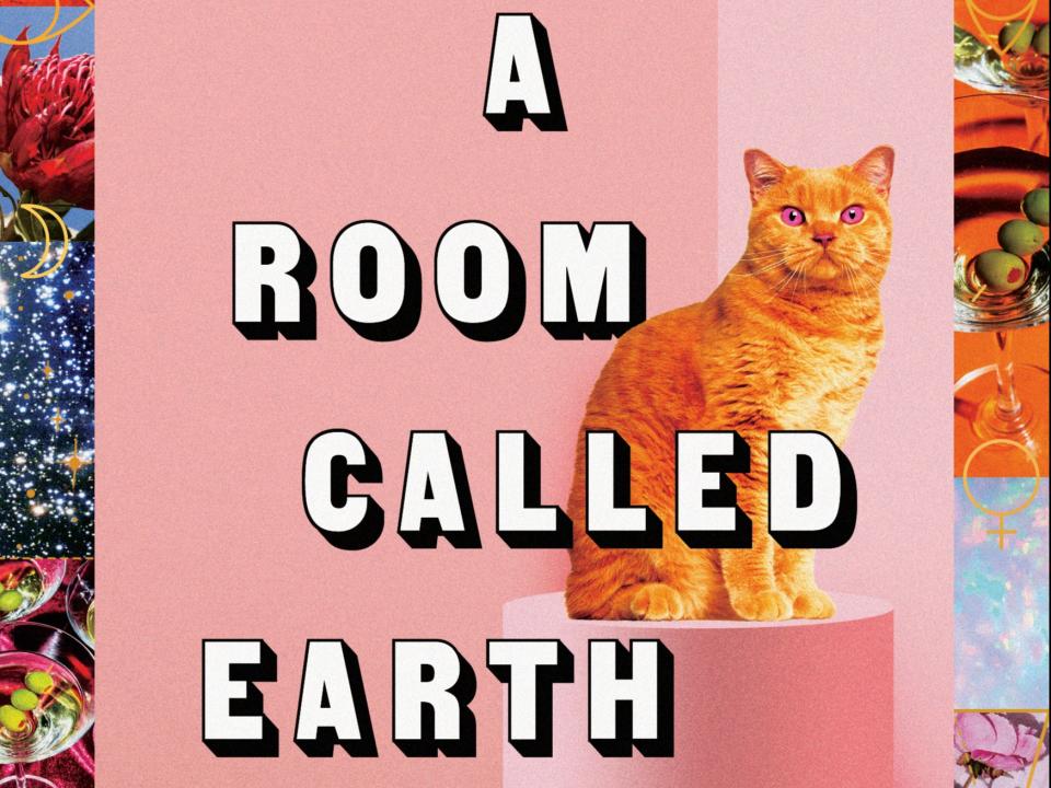 Madeleine Ryan’s new book ‘A Room Called Earth’Scribe UK