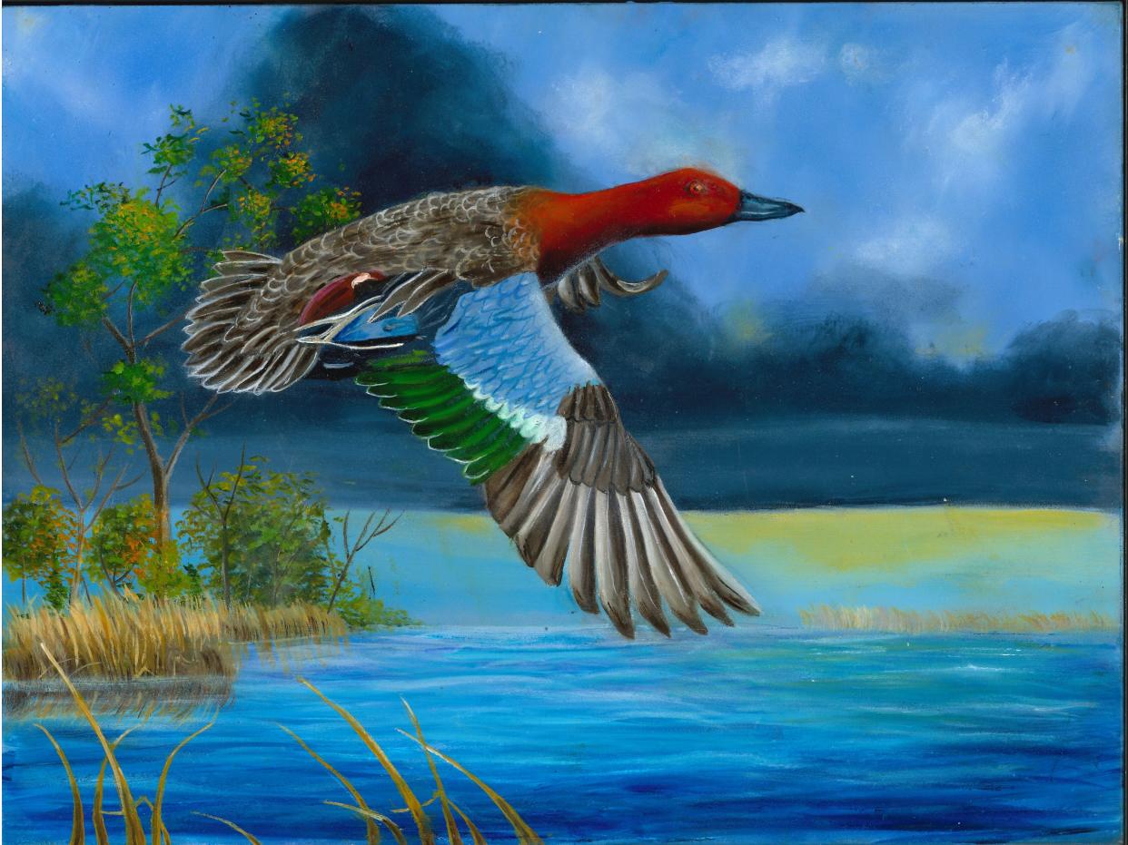 Aliyah Ridenour's painting of a Cinnamon Teal for the 2023 Junior Duck Stamp Art Contest. Ridenour placed first in the state of Missouri and 25th nationally with her painting.