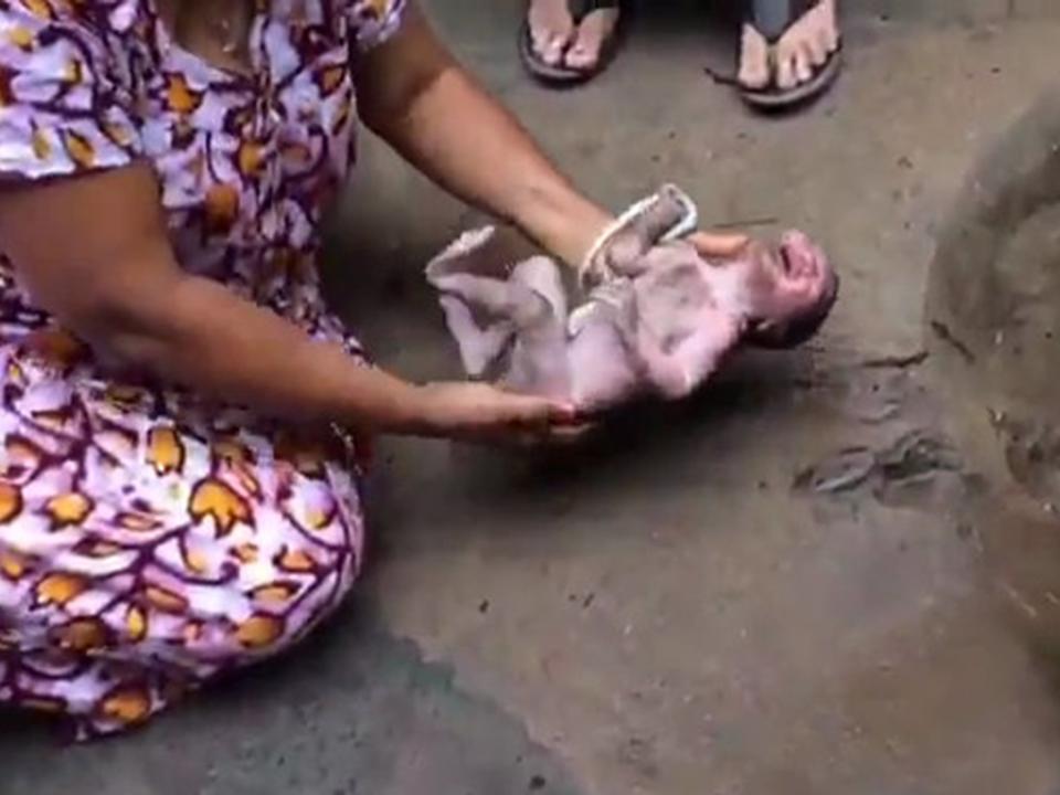 Woman rescues baby abandoned in storm drain