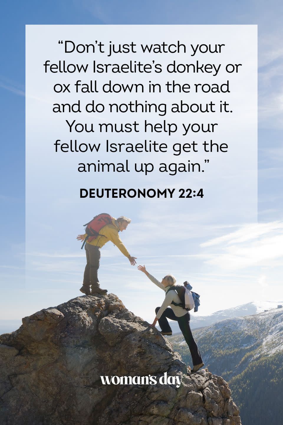 Deuteronomy 22:4